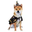 Boogie Festival Halloween-asu lemmikille, viitta & hattu - Koiran asusteet - MB36401 - 1