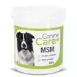 CanineCare MSM, 300 g - Ravintolisät ja -öljyt - 20041 - 1