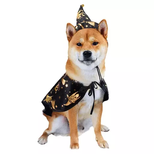 Boogie Festival Halloween-asu lemmikille, viitta & hattu - Koiran asusteet - MB36401 - 1