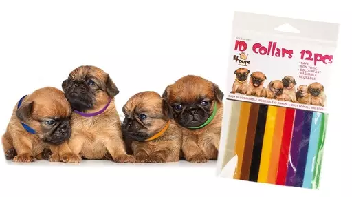 Transgroom Koiranpentujen merkkauspannat 4Pups, 12 kpl - Koiranpennun hoitotarvikkeet - TG944PU001 - 1