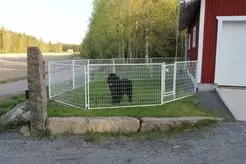 Jämpti Pro MINI Sinkitty + maalattu tarhapaketti (115 cm) (1+9 (6 x 4 m), Vaaleanharmaa) - Koiratarhat ja kopit - TP50074192 - 1