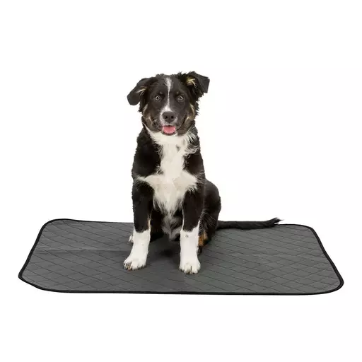 Trixie Nappy Pestävä suoja-alusta, tummanharmaa - Koiran pissa-alustat - TR23422 - 1