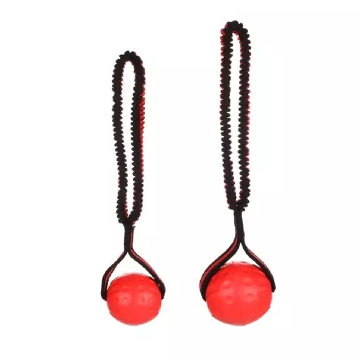 Flamingo Koiranlelu kelluva TPR-pallo joustavalla käsilenkillä (S) - Koiran lelut ja aktivointi - FL522573 - 1