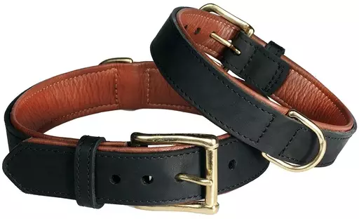 Pet First Fatty LeatherRasvanahkapanta vuorella (30 mm x 65 cm) - Koiran kaulapannat - NK8710303 - 1