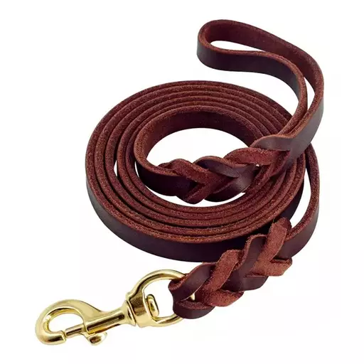 Brava Letitetty nahkatalutin, 10 mm x 210 cm - Koiran talutushihnat - 24334 - 1