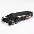 Non-Stop Roam Collar -panta (XXL, Oranssi) - Koiran kaulapannat - NS3485 - 1