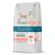 Quattro Dog Adult Salmon All Breed (3 kg) - Quattro koiran kuivaruoat - 30225 - 1