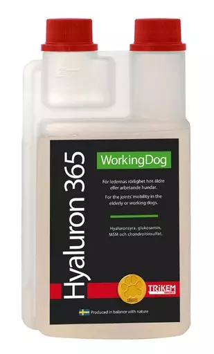 Trikem WorkingDog Hyaluron365 (1 l) - Ravintolisät ja -öljyt - IM7212026 - 1