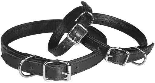 Pet First Economic Nahkapantavuorella (25 mm x 65 cm) - Koiran kaulapannat - NK8710027 - 1