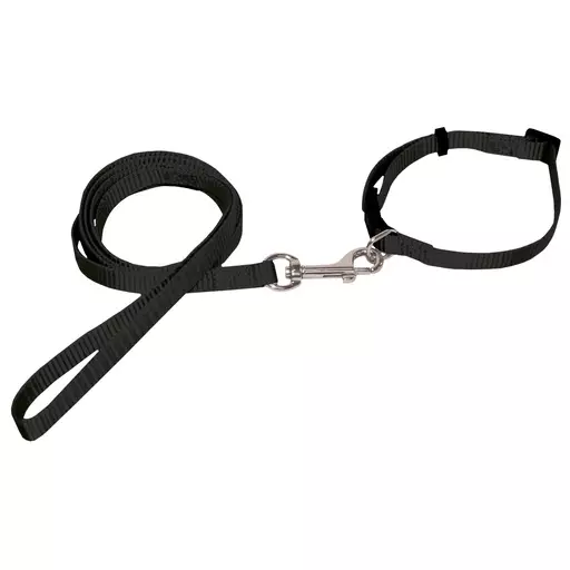 Toy-talutussetti, musta - Koiran talutushihnat - 24187 - 1