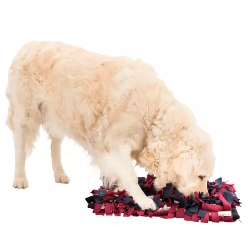 Trixie Dog Activity Aktivointimatto lemmikille - Koiran aktivointilelut ja älypelit - TR32037 - 1