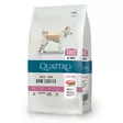 Quattro Dog Adult Lamb All Breed (12 kg) - Quattro koiran kuivaruoat - 30218 - 1