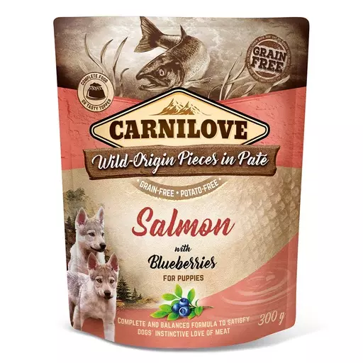 Carnilove Koiranpennun märkäruokapatee, Lohi & mustikka, 300 g - Carnilove koiran märkäruoat - CL101111699 - 1