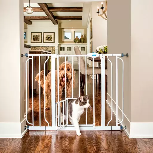 Carlson Leveä Lemmikkiportti - Koiraportit - CA0937E - 1