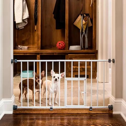 Carlson Tilanjakaja, Mini - Koiraportit - CA0680E - 1