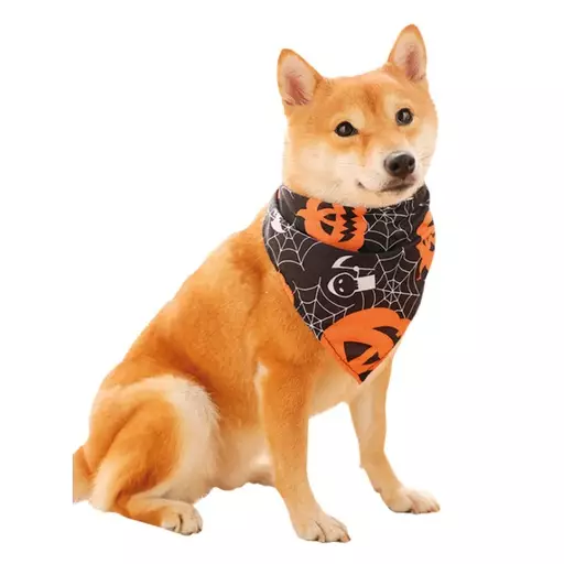 Boogie Festival Halloween-kolmiohuivi koiralle, M - Koiran asusteet - MLCDZ02M - 1