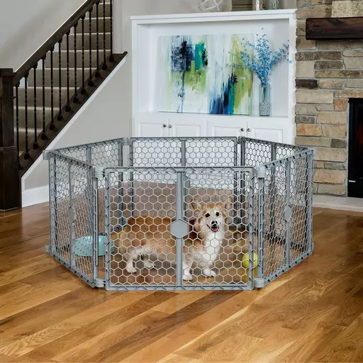 Carlson 2-in-1 Muoviportti ja pentuaitaus, 6 paneelia - Koiraportit - CA2360DS - 1