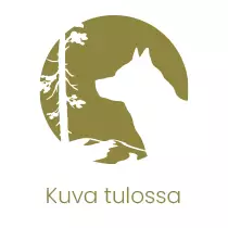 Lahjakortti 100€ - Lahjakortit ja etukupongit - 99999984-100 - 1